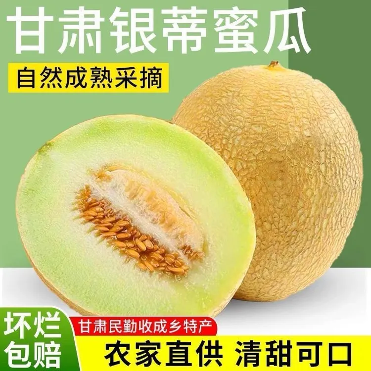 甘肃银蒂蜜瓜白兰瓜甜瓜冰淇淋口感新鲜应季甜糯多汁