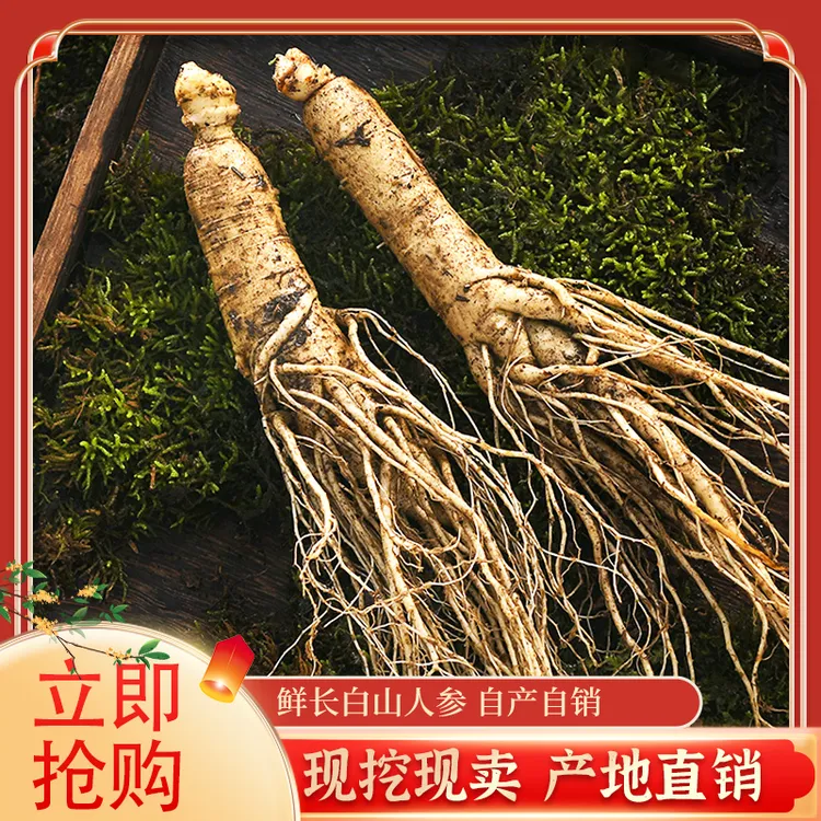 新鲜人参正宗长白山带土现挖现售适合泡酒煲汤