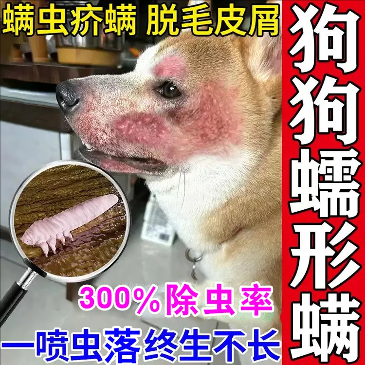 无害蠕形螨驱虫宠物疥螨除蚤除虱抑菌止痒专用真菌皮肤痒红肿喷雾