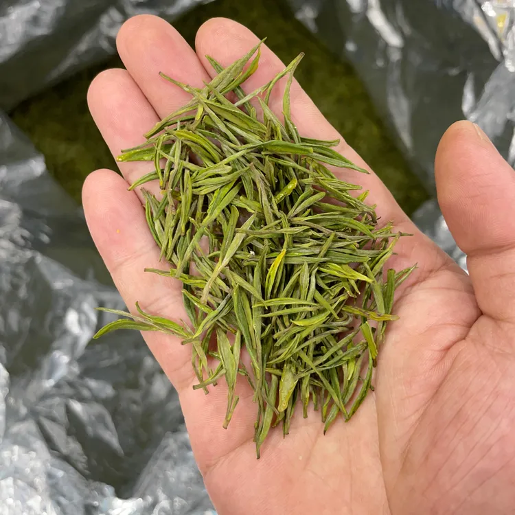 【安吉白茶331】2025年新茶 明前安吉白茶核心产区兰香小芽白茶绿茶