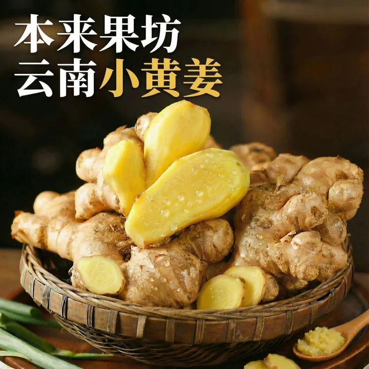 云南高原小黄姜  姜香饱满 肉质紧实 新鲜当季 坏果包赔
