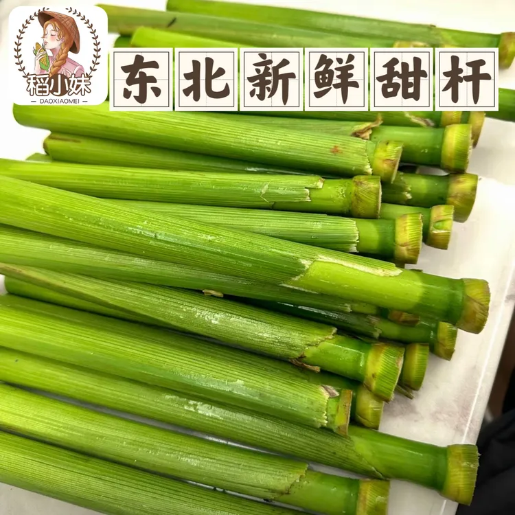 顺丰冷链东北农家新鲜甜杆甜芦粟水果青皮甘蔗甜高粱杆甜杆小甘蔗