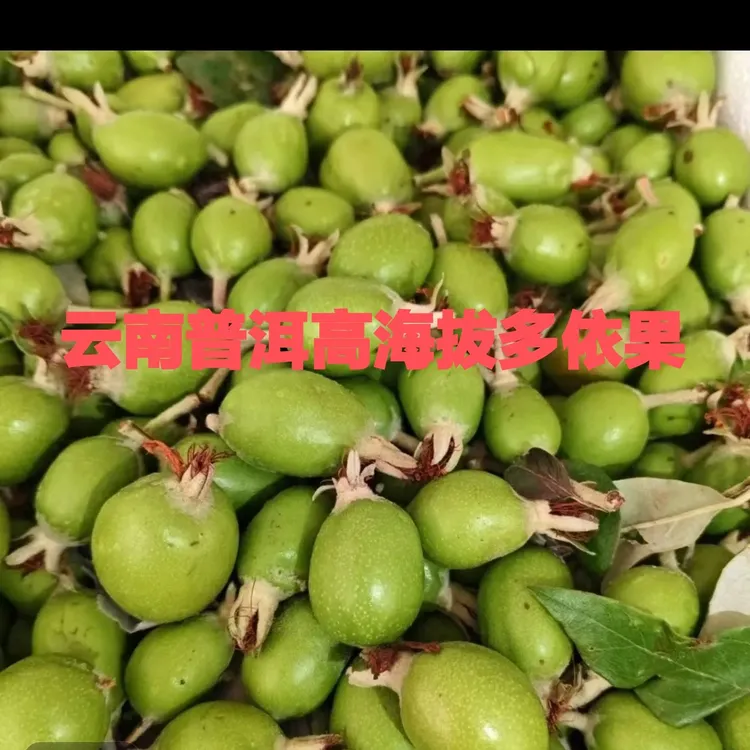 云南特产糯扎渡嫁接酸多依孕妇水果渣子果送辣椒面