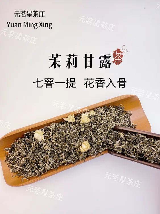茉莉花茶 茉莉甘露飘雪浓香型2025新茶 7次窨制足花足窨