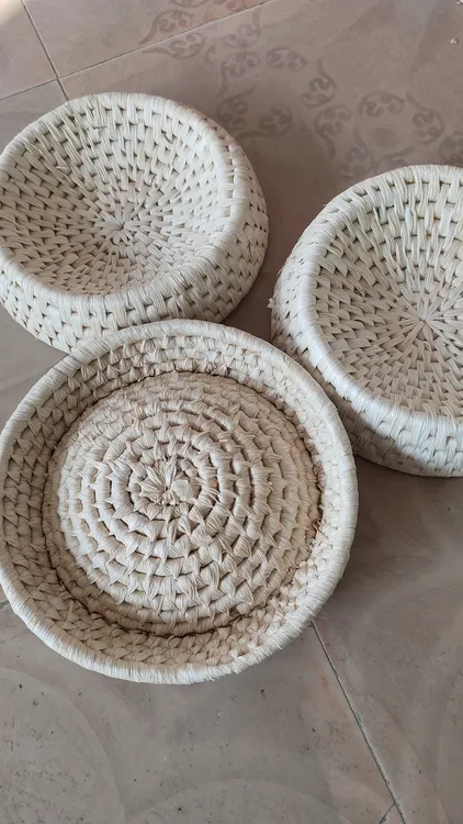 玉米皮草窝鸽子窝拍一发六