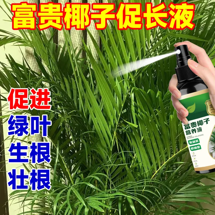 富贵椰子专用营养液增绿防黄叶掉叶枯萎干尖烂根家用有机营养液