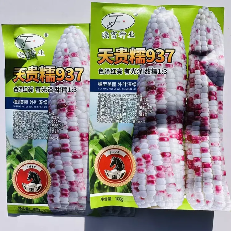 超甜糯玉米种子高产包邮四季香甜糯玉米种子大田彩甜糯2018宝马