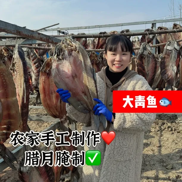 腊月腊鱼大青鱼手工腌制鱼干鱼块安徽特产咸鱼
