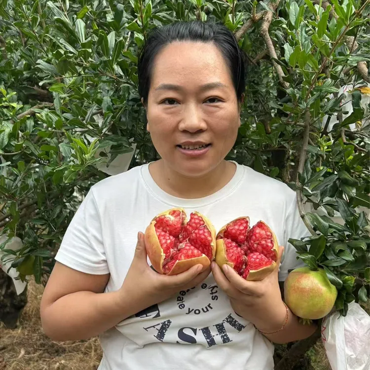 【安安妈妈】软籽石榴四川会理突尼斯甜石榴新鲜水果产地直采