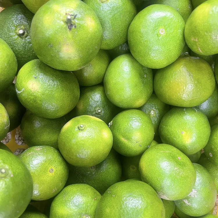 【顺丰包邮】现摘早橘当季新鲜水果酸甜多汁孕妇适用