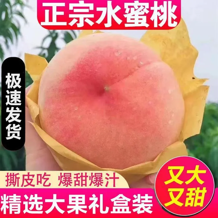 包邮现摘水蜜桃新鲜水果脆甜多汁当季应季桃子