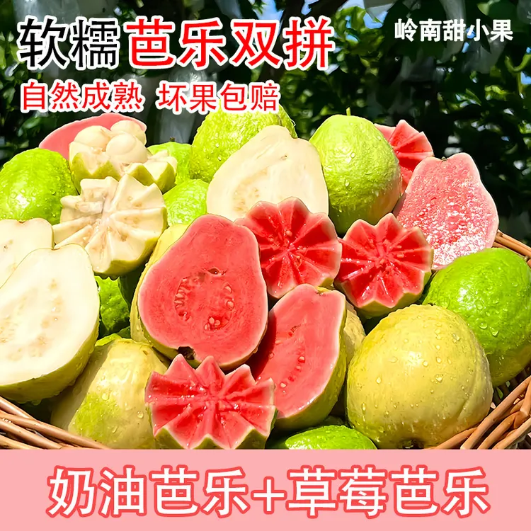 广西软糯红心+白心双拼芭乐新鲜低糖低卡水果芭乐直播卖货番石榴