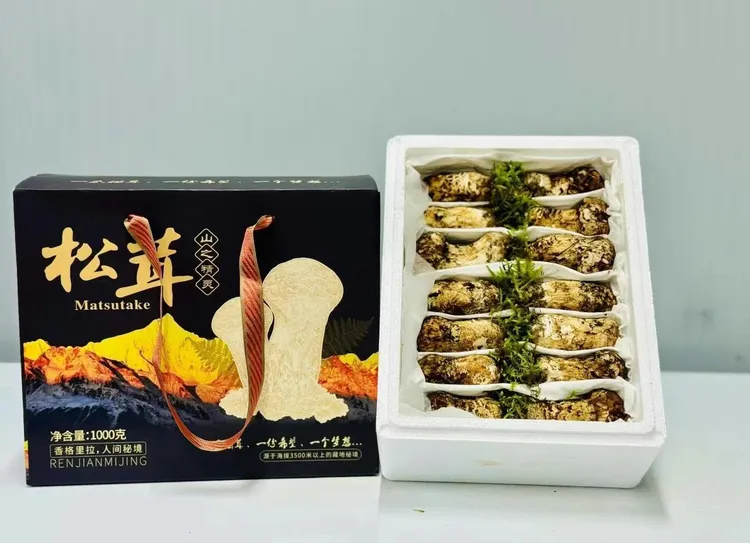 【顺丰包邮】云南香格里拉高海拔新鲜松茸野生菌出口级