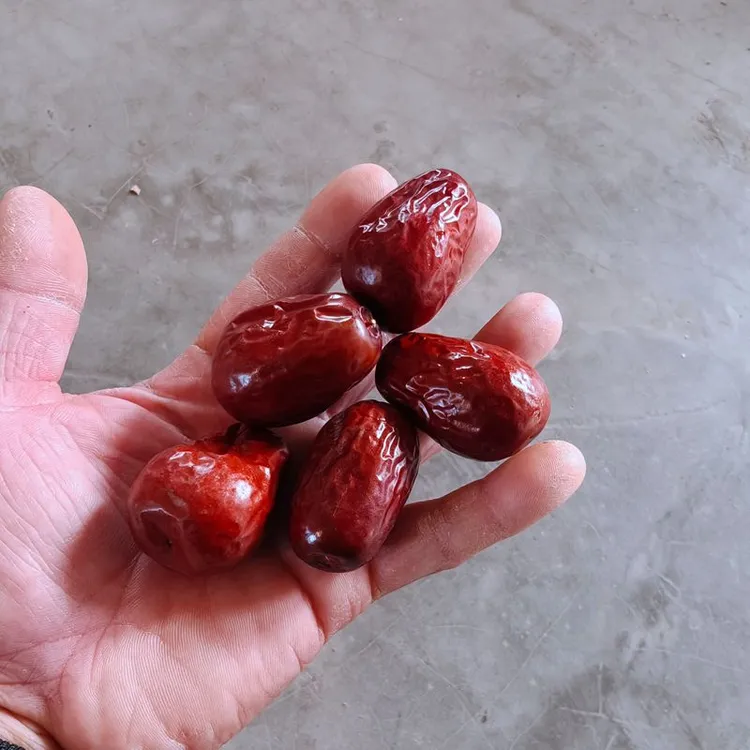 新疆大枣和田大枣沙漠红枣俊枣壶瓶枣5斤一箱