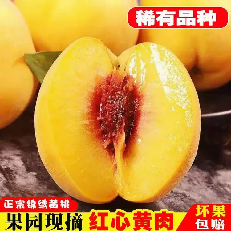 【精品大果】正宗锦绣红心黄桃当季新鲜桃子水果脆甜多汁精选大果 