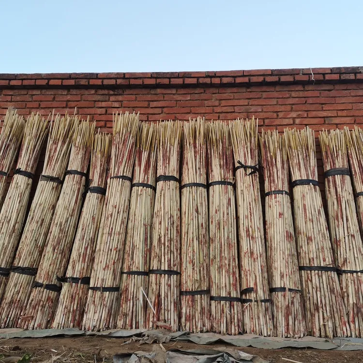 农家纯天然秫秸高粱杆高粱秸秆传统民间白事纸扎原材料2024年新杆