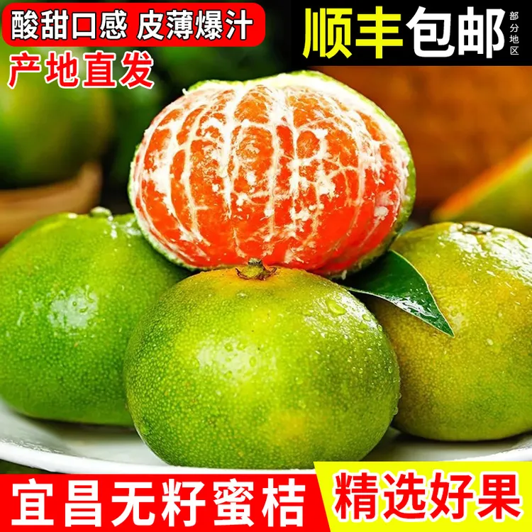 【顺丰包邮】宜昌青皮蜜桔酸甜多汁新鲜当季时令水果柑橘子整箱