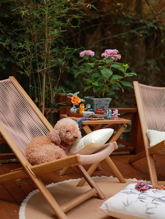 紫叶阳台云居躺椅2025新款家用休闲椅子单人沙发椅户外藤椅靠背椅