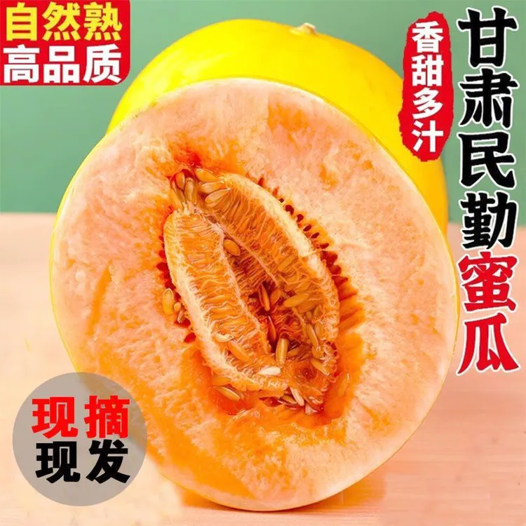 【顺丰快递】甘肃民勤蜜瓜4-5斤/6-7斤/8-9斤新鲜应季金红宝蜜瓜