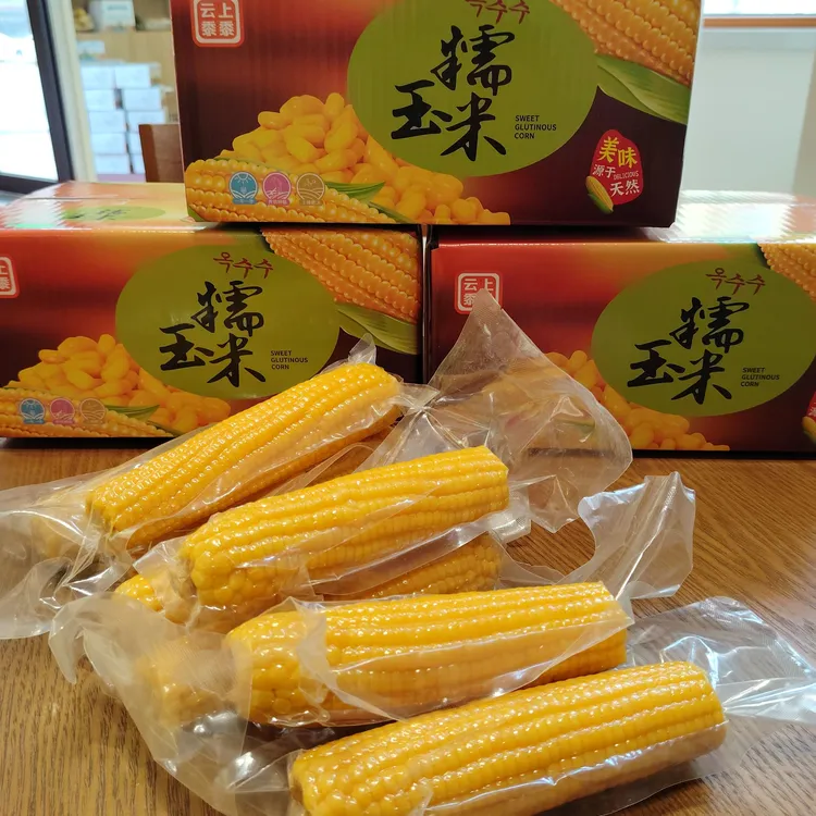东北黄粘糯玉米棒青稞糯香甜鲜食玉米