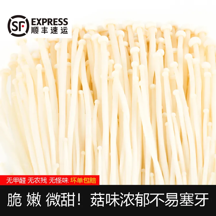 新鲜【金针菇/黄金针菇/鹿茸菇/有机香菇】无甲醛可生食 顺丰发货