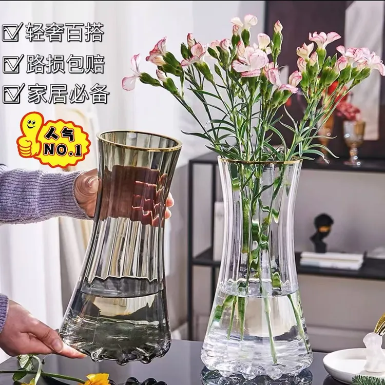 高级简约轻奢加厚ins风透明玻璃花瓶水养富贵竹鲜花插花客厅摆件