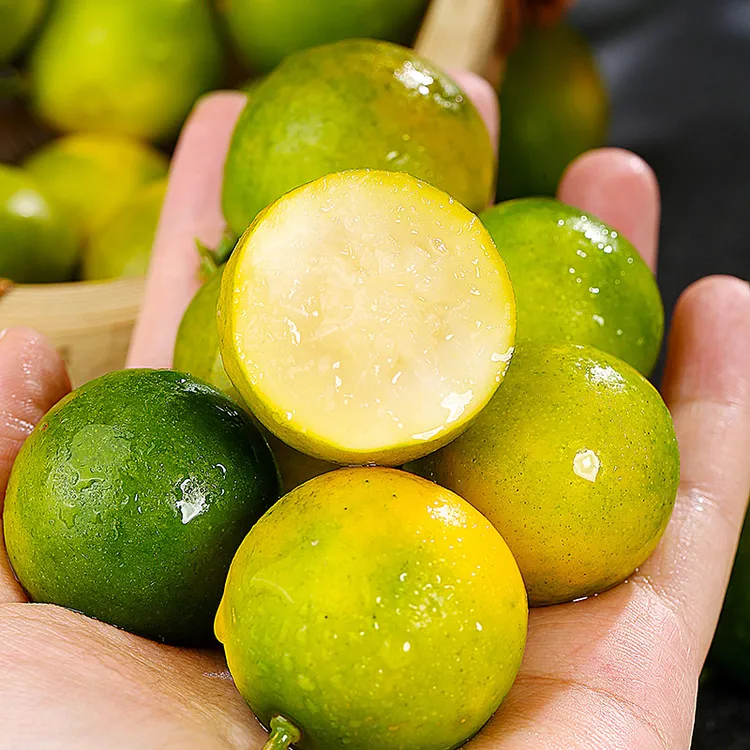 【融安金桔】广西融安脆皮金桔小桔子皮脆肉甜1/2/3斤装S