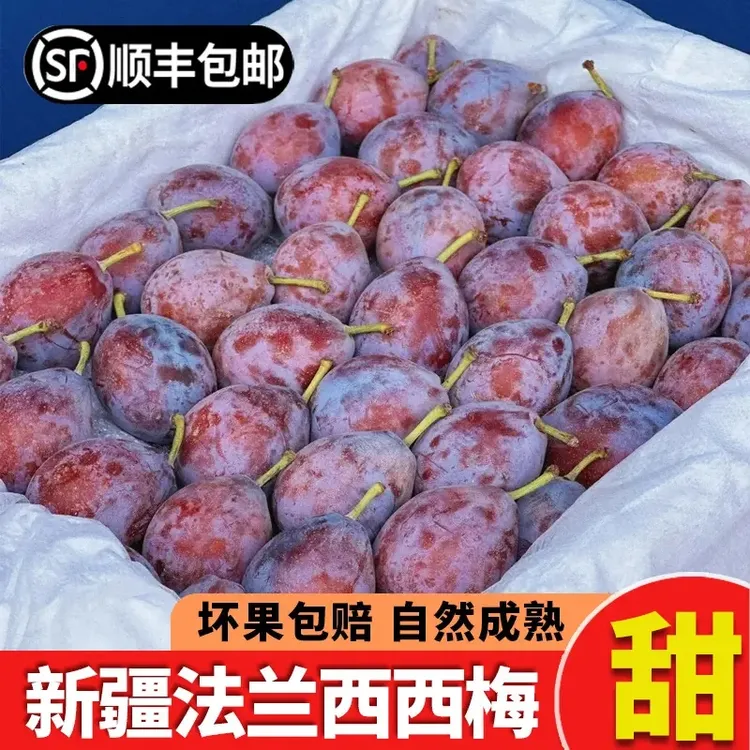【顺丰包邮】新疆法兰西西梅水果甜西梅脆甜多汁当季孕妇新鲜水果