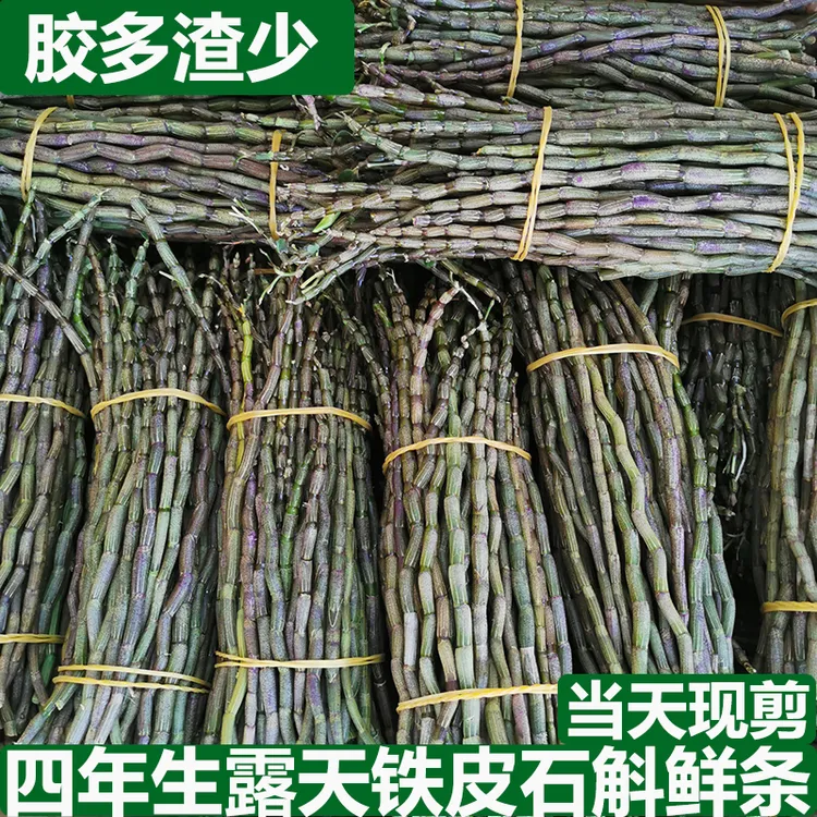 新鲜铁皮石斛鲜条250g-500g正品四年露天铁皮石斛石斛枫斗煲汤
