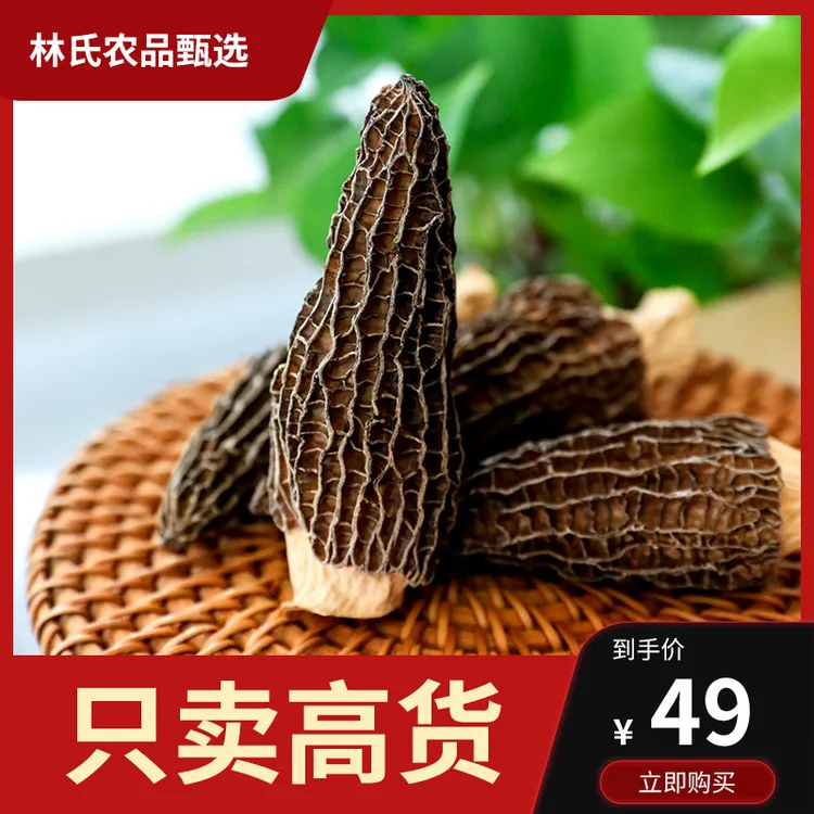 6-8cm【羊肚菌】头茬高山干货肉质肥厚煲汤火锅鲜美