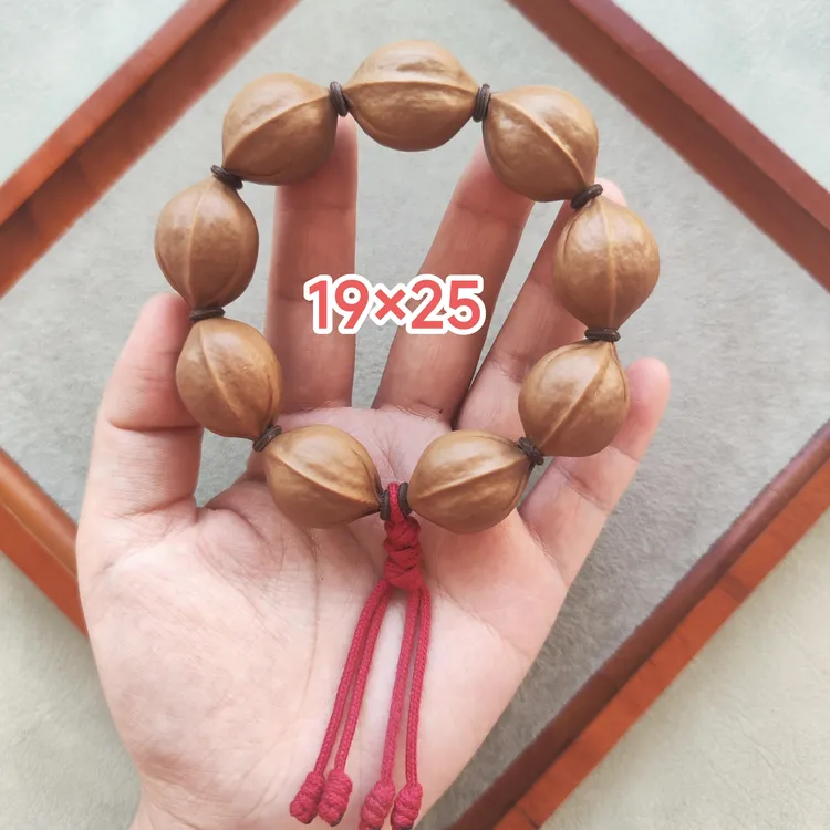 正宗梅林铁核19×25黄金矮桩短圆热销毕业款颗颗精选饱满规整 ·