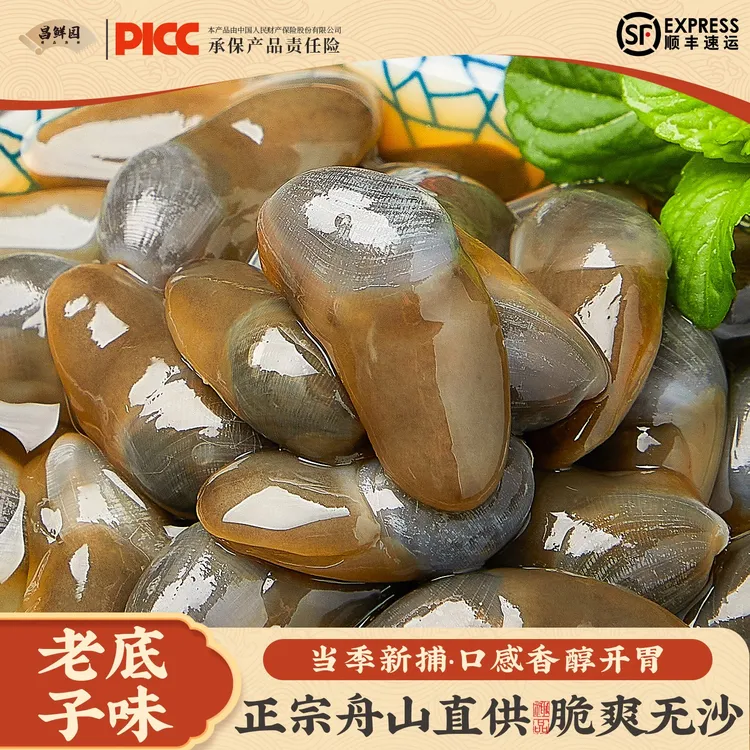 8A特级黄醉泥螺罐装宁波舟山特产生腌即食鲜活腌制特大新鲜醉泥螺