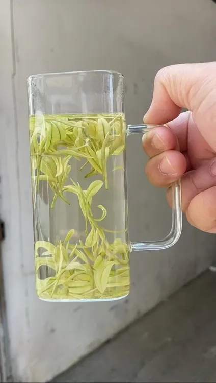 明前招牌A299经典奶白皇金芽2025新茶黄金芽正宗茶叶一级奶香味浓