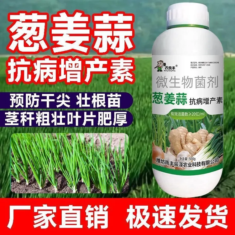 正品姜蒜大姜韭菜专用药姜瘟清农药生姜黄叶姜瘟烂脖子瘟病防治