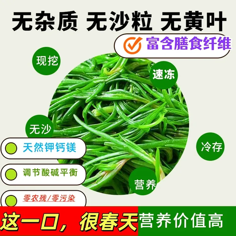 速冻黄须菜营养丰富 自然生长可用于凉拌蒸菜水饺包子