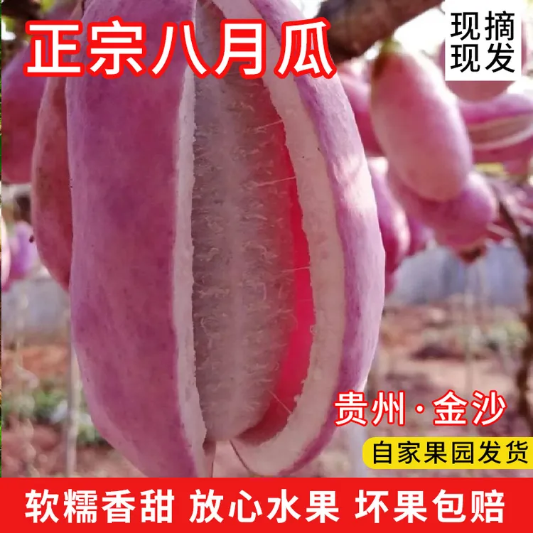 贵州特产深山当季新鲜水果八月炸瓜现摘软糯香甜八月孕妇8月瓜
