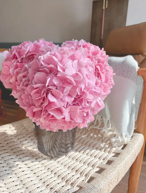 云南绣球多色可选【任意凑2单冷链包邮】昆明基地直发日常精致