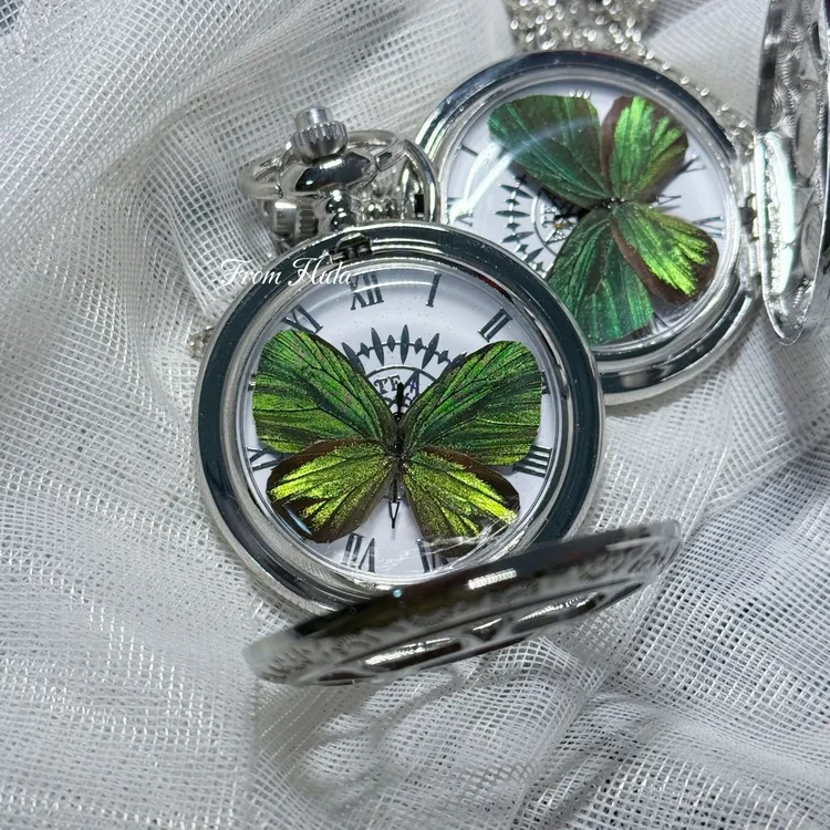 复古可转动蝴蝶标本机械怀表银色机械表创意手作怀表项链绿色小众