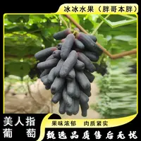 【原箱】[Y]云南金手指 箱/2.5斤左右 仅太原晋中吕梁忻州可拍
