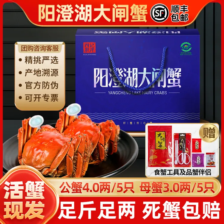 【活蟹】四记联洋阳澄湖大闸蟹公4.0两母3.0两5对10只金标螃蟹塘养