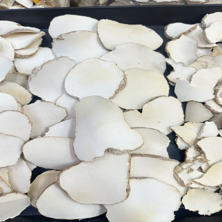 虎乳菌散装农产品虎奶片煲汤好物