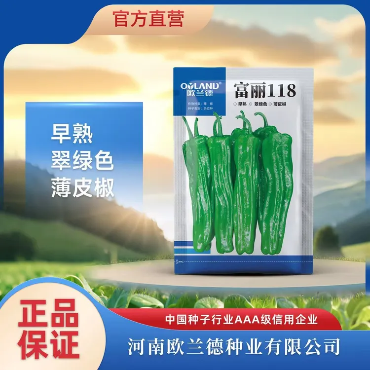 OULAND/欧兰德【富丽118】果长22早熟翠绿条大果型丰产薄皮椒抗性好商品图