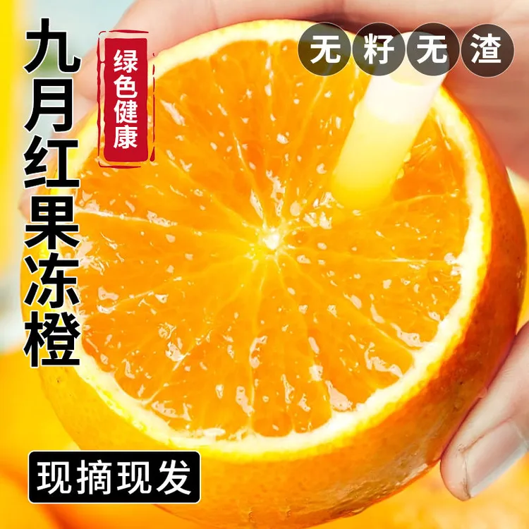 秭归果冻橙九月红果冻橙现摘新鲜细嫩多汁维C水果新鲜孕妇水果