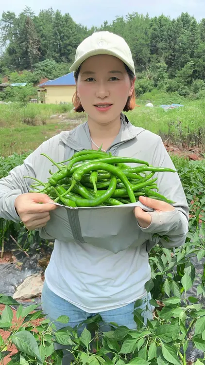 湖南农家薄皮辣椒纯农家肥高山种植皮薄肉厚鲜嫩多汁籽少3斤