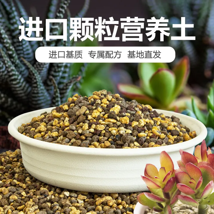 多肉专用颗粒土植物养花通用型营养土铺面石花土肥料桐生砂疏透气