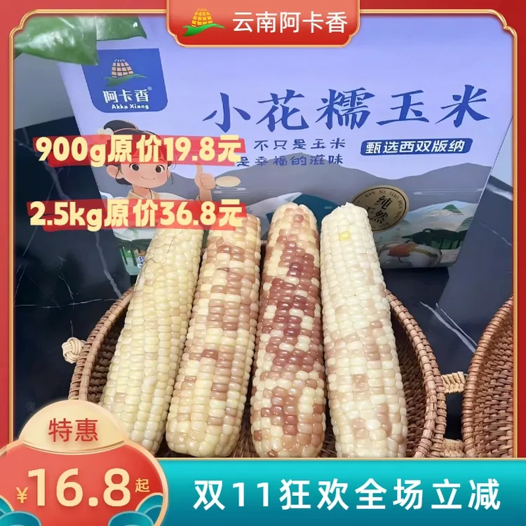 西双版纳小花糯玉米 真空包装 开袋即食 营养美味优选
