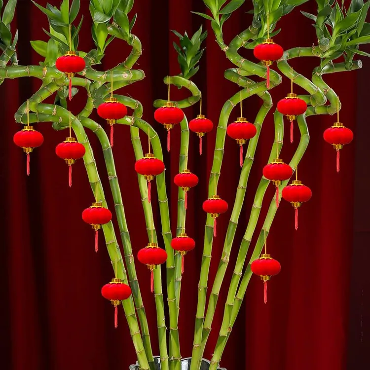元旦乔迁之喜小灯笼绿植盆栽挂树上的装饰品发财树富贵竹挂件室内