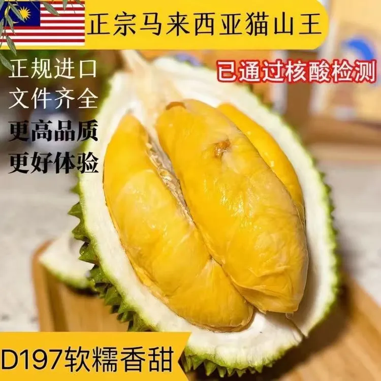 直播正宗马来西亚猫山王榴莲液氮冷冻进口D197送礼顺丰包邮香甜