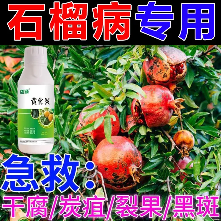 石榴病虫害专用肥钻心虫食心虫蚜虫黑斑病干腐病炭疽病石榴树肥料