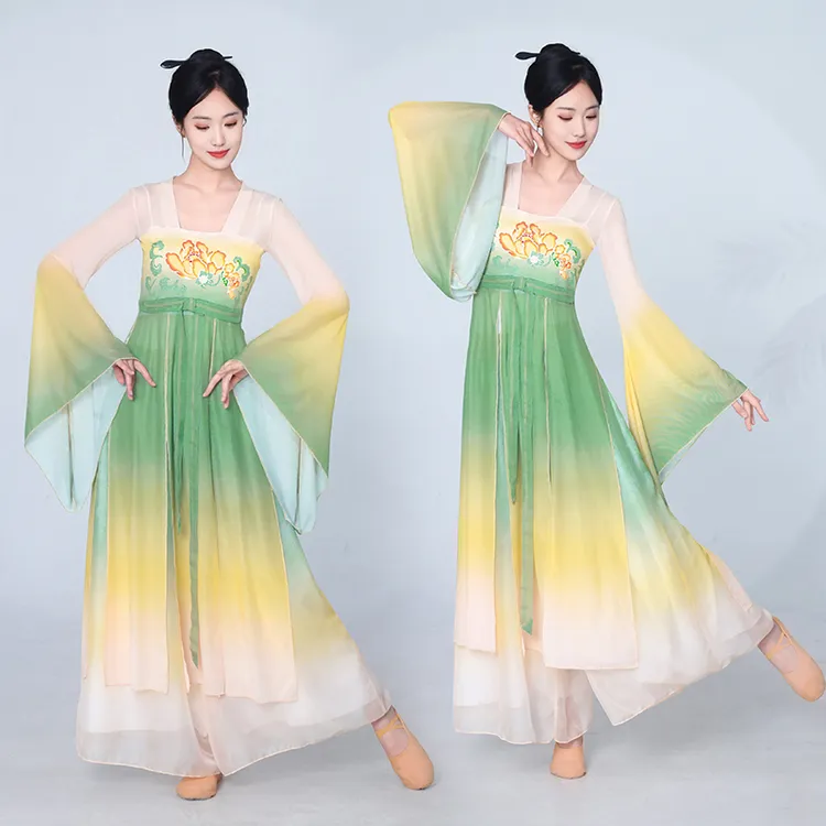 襦裙身韵纱衣中国舞练功服演出舞蹈女新款古风广场舞女士古典舞
